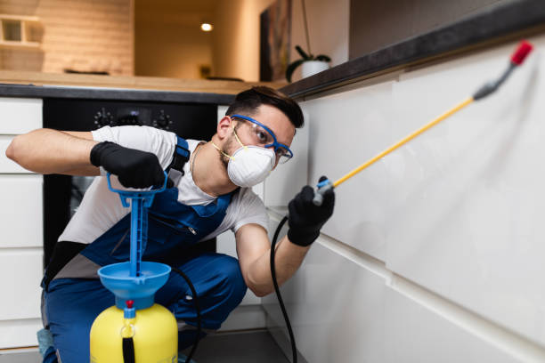 Best Wasp Removal Services  in Bren Bow, OK