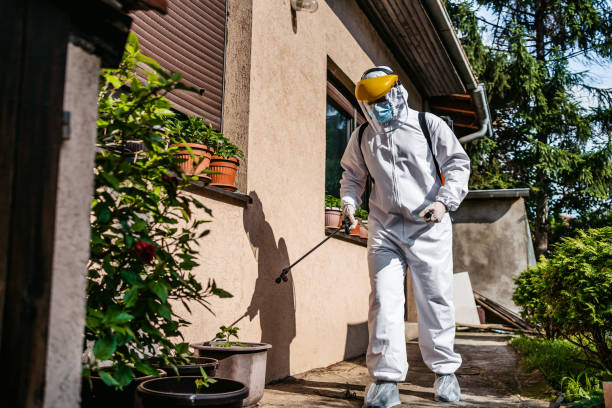 Best Best Pest Control Companies  in Bren Bow, OK