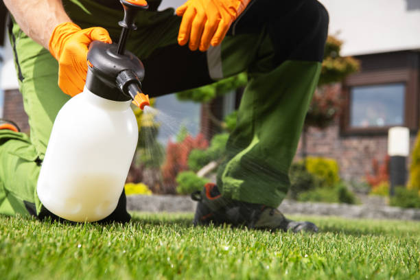 Best Emergency Pest Control  in Bren Bow, OK