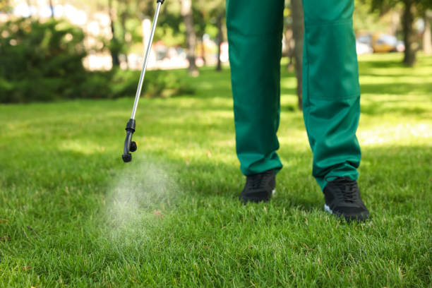 Professional Pest Control in Broken Bow, OK