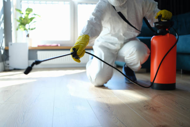 Best Flea Control Services  in Bren Bow, OK