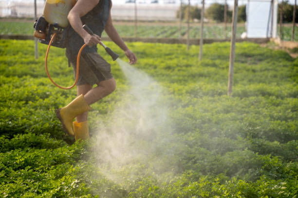 Best Ant Control Services  in Bren Bow, OK