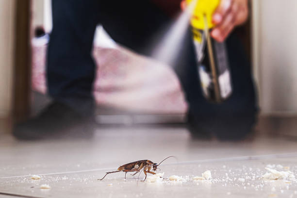 Best Mosquito Control Services  in Bren Bow, OK