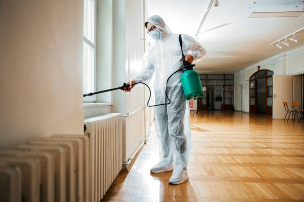 Best Pest Removal Services  in Bren Bow, OK