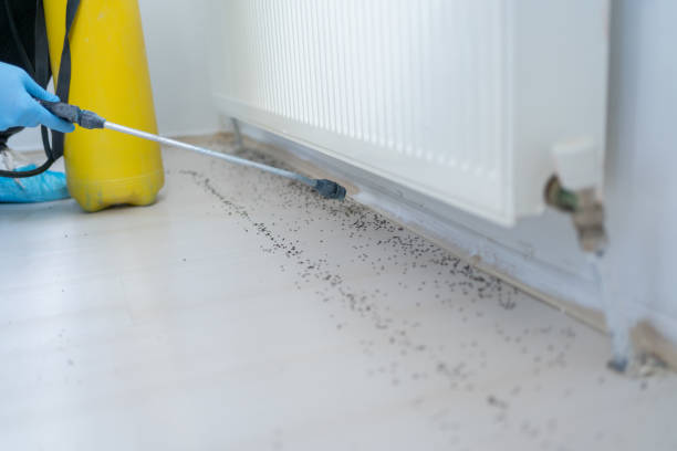 Best Affordable Pest Control Services  in Bren Bow, OK
