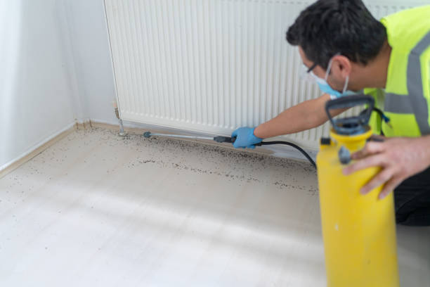 Best Local Pest Control Services  in Bren Bow, OK