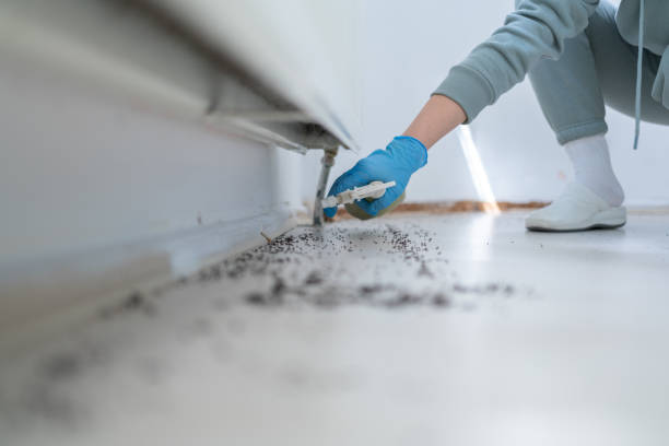Best Pest Inspection Near Me  in Bren Bow, OK